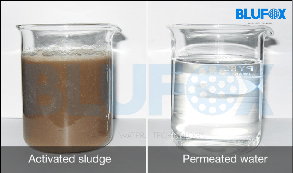2.5 KLD Sewage Wastewater Treatment Plant Water Parameter