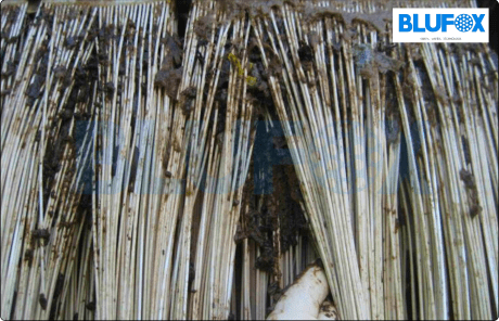 Case Study - BLUFOX MBR replacement for Textile ETP Plant Thailand