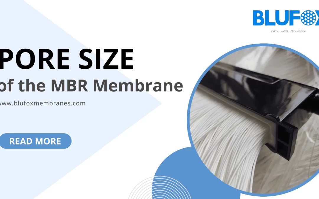 Pore Size of the MBR Membrane