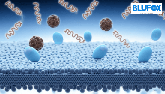 Russia MBR Membrane Blufox